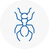 Ant Removals In Dundee