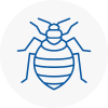 Bed Bug Extermination In Dundee