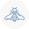 Bee Nest Removal Dundee