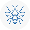 Dundee Hornet Nest Removals