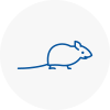Mice Exterminators In Dundee