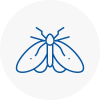 Moth Control Specialists In Dundee