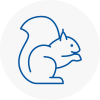Dundee Rodent Removals
